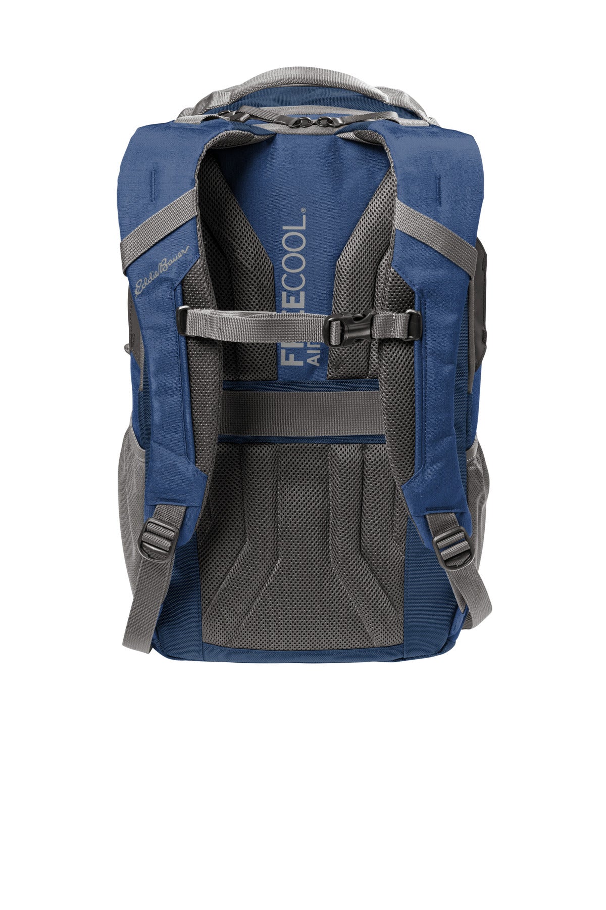 Rear View of SpphBl/GSt Eddie Bauer Tour Backpack EB915