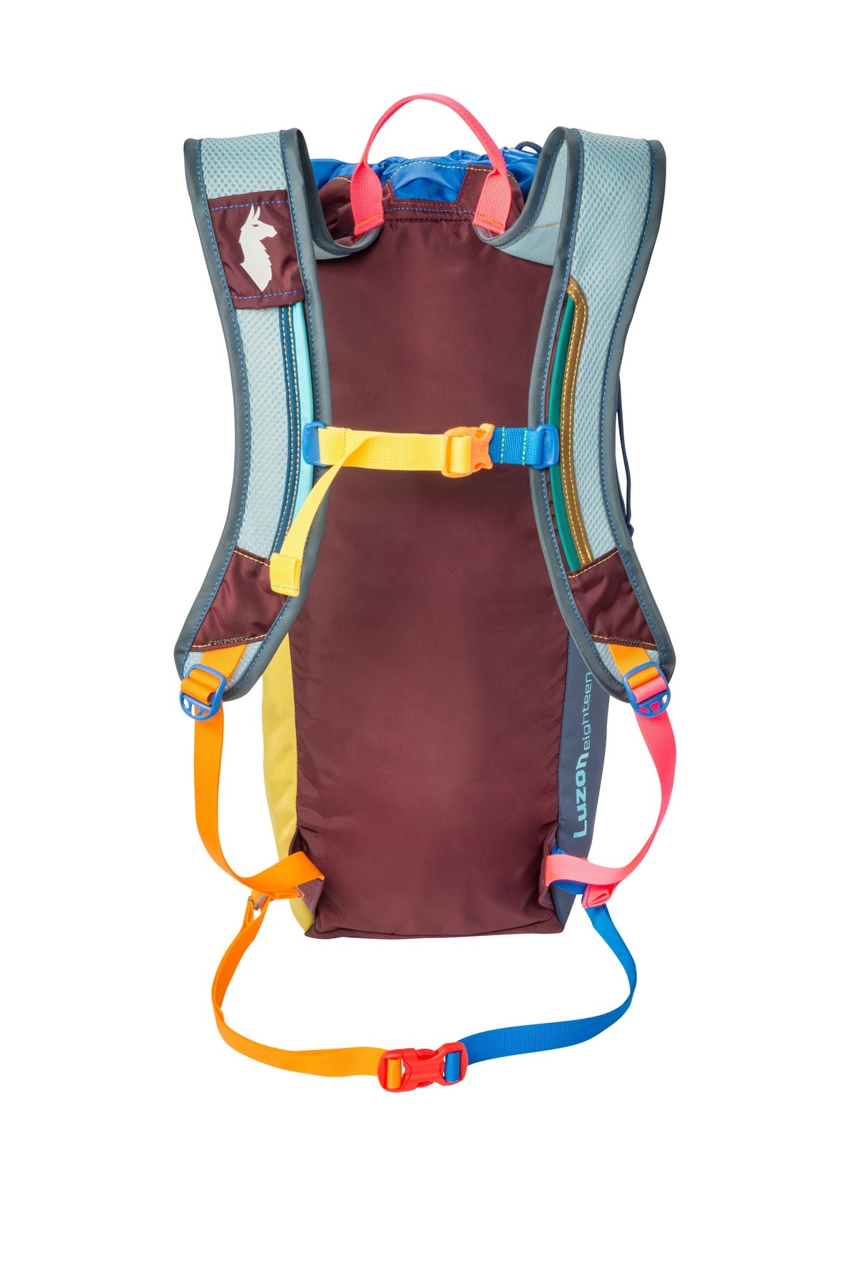 Rear View of Surprise Cotopaxi Luzon 18L Backpack COTOL18L